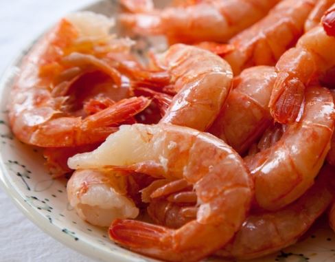 What is Argentine Red Shrimp at Red Lobster
